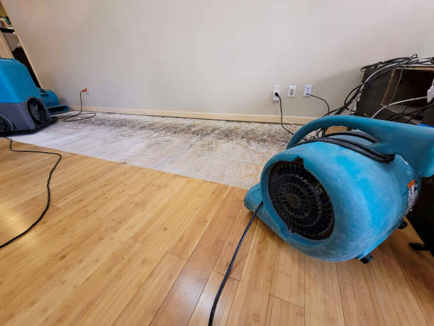 Professional Sewage Cleanup technician working in Collinsville, MS